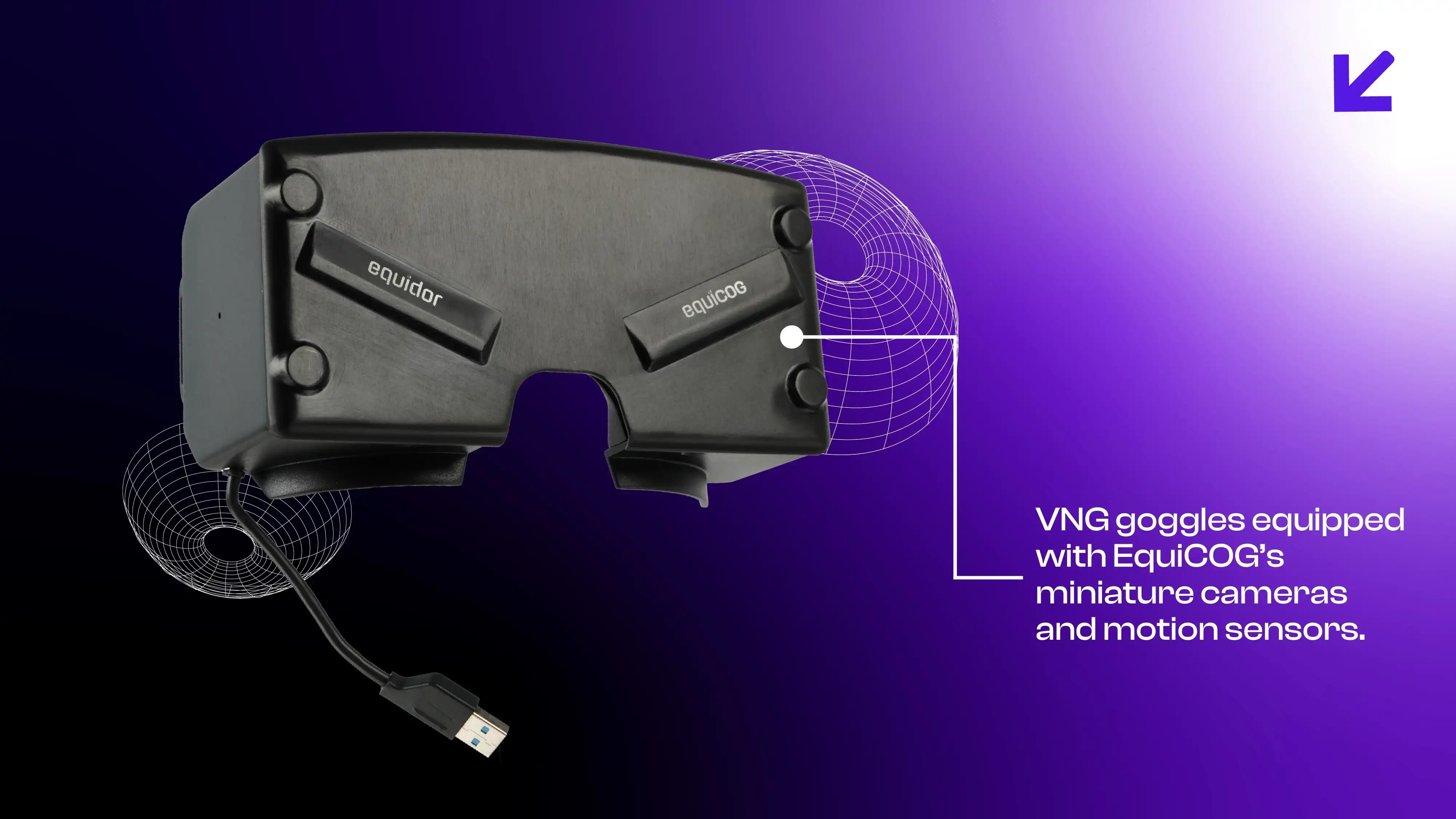 Detecting BPPV with EquiCOG: A Precise Diagnostic Approach