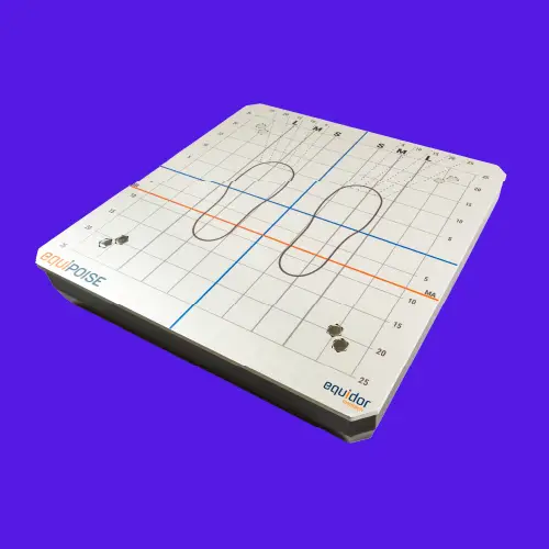 Equipoise Taevas life sciences